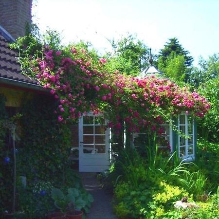 Ferienwohnung Diena - Unterkunft Mit Toller Ausstattung Und Zwei Terrassen Tarp Esterno foto